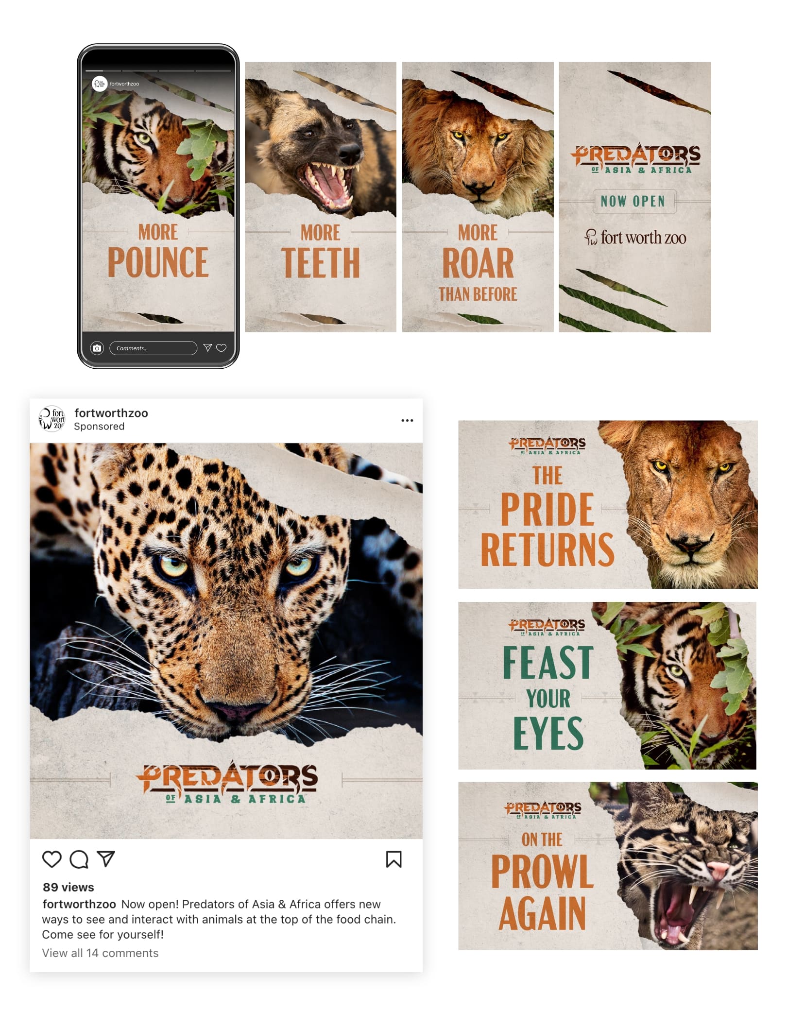 Predators Social Media Work by Haha Haha for Fort Worth Zoo